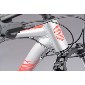 RIDGEBACK Terrain 4 click to zoom image