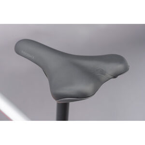 RIDGEBACK Terrain 4 click to zoom image