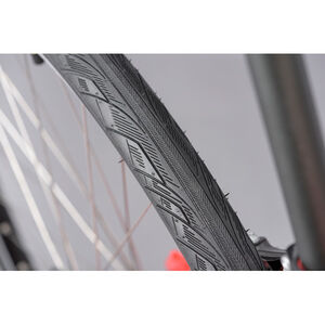 RIDGEBACK Motion click to zoom image