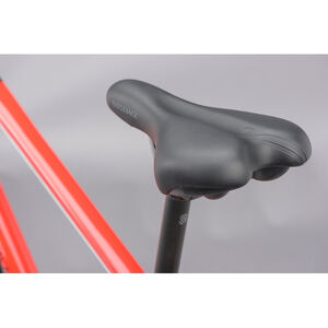 RIDGEBACK Motion click to zoom image