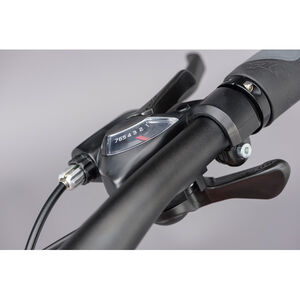 RIDGEBACK Motion click to zoom image