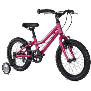 RIDGEBACK Melody  click to zoom image