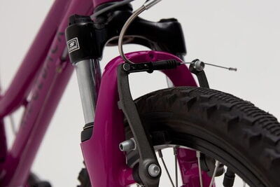 RIDGEBACK Harmony click to zoom image